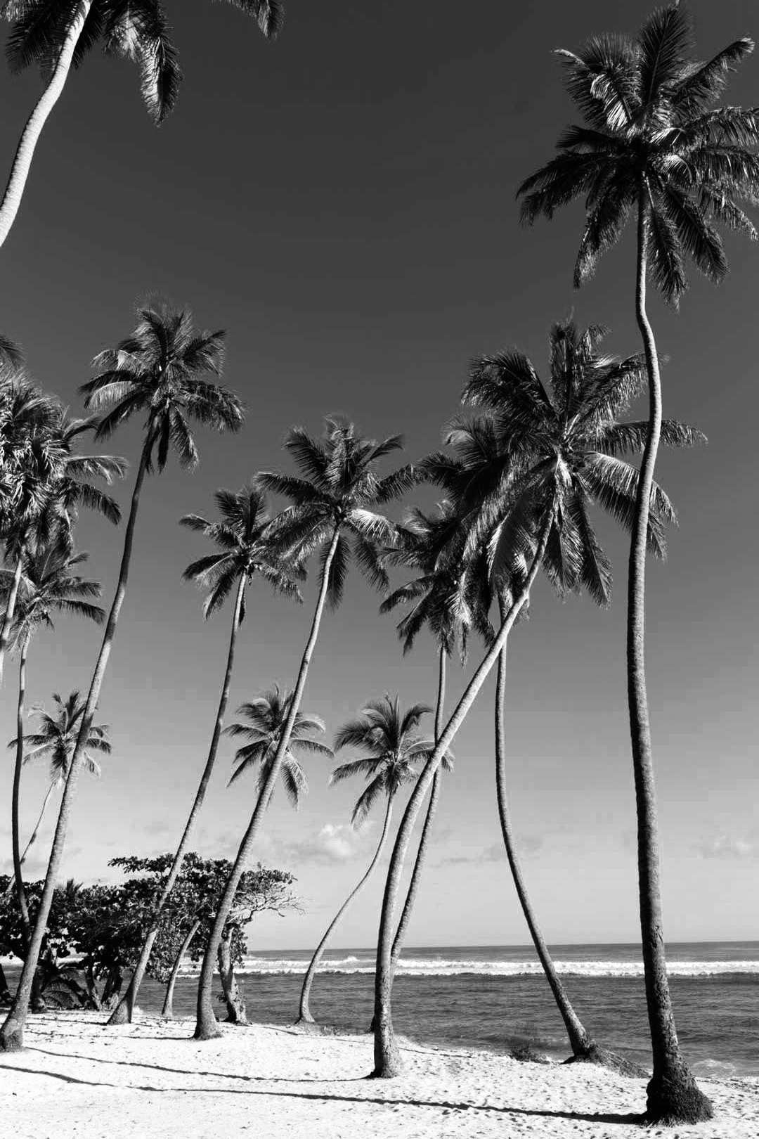 Portfolio - Christian Guay