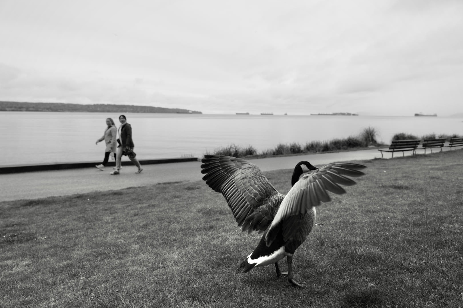 Portfolio - Christian Guay